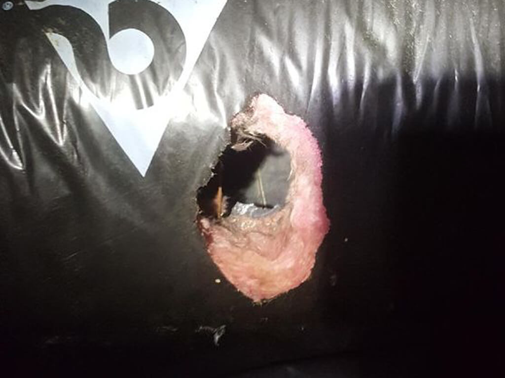 Commercial Pest Control