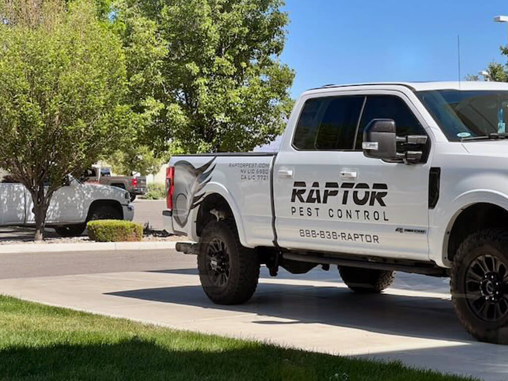 Raptor Pest Control