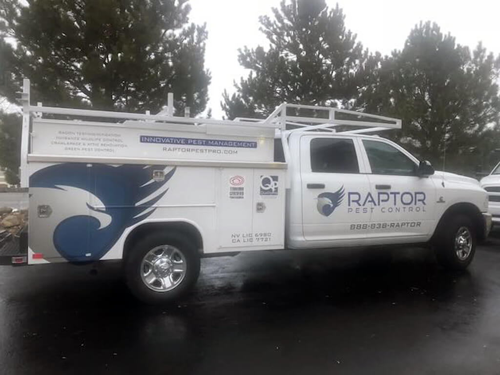 Raptor Pest Control
