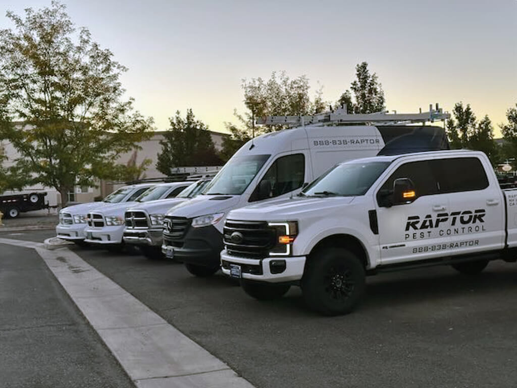 Raptor Pest Control