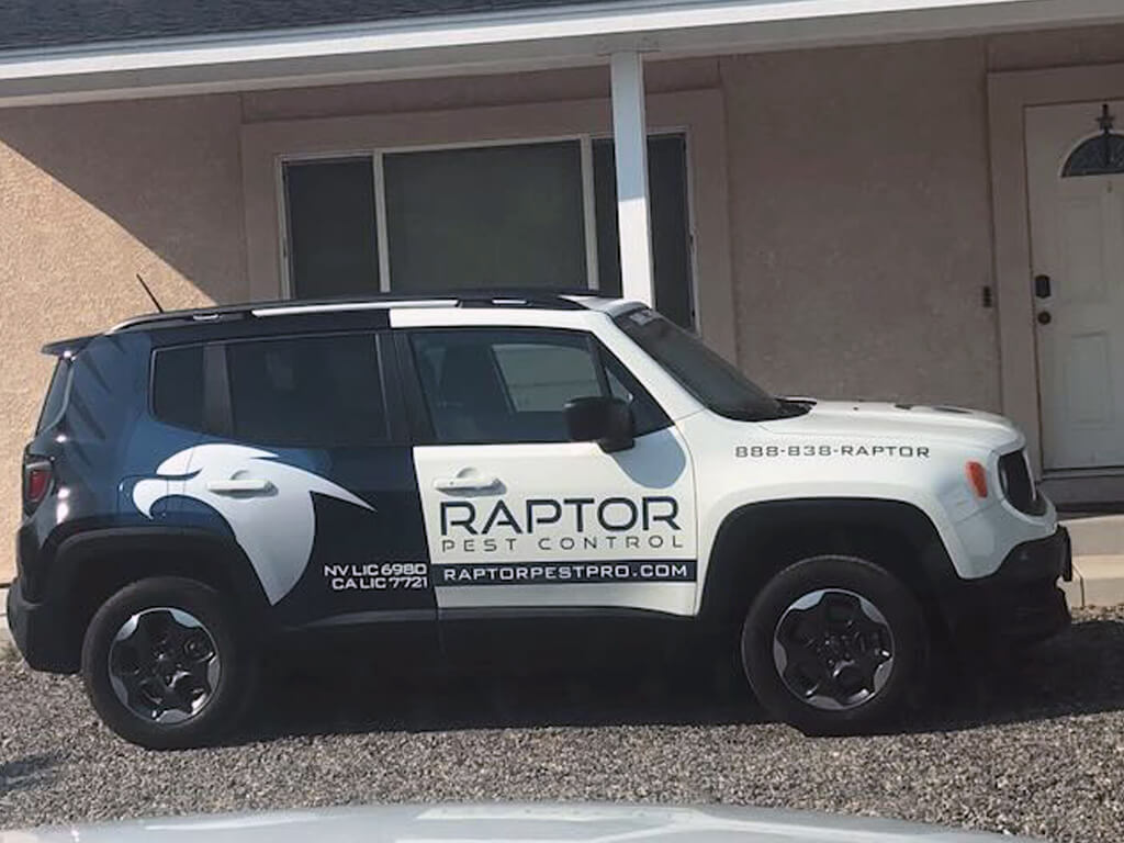 Raptor Pest Control