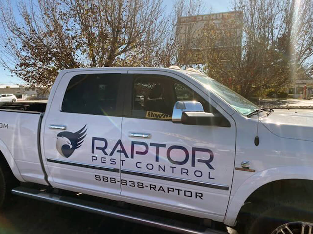 Raptor Pest Control