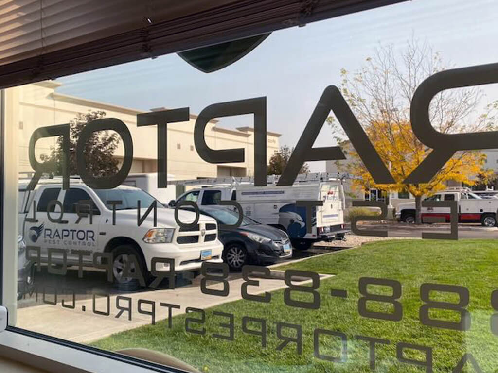 Raptor Pest Control