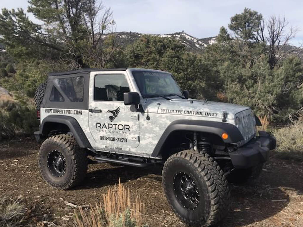 Raptor Pest Control