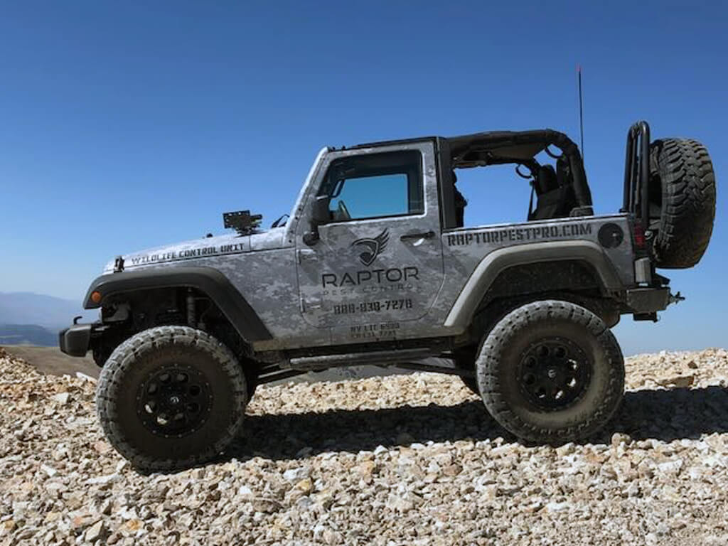 Raptor Pest Control