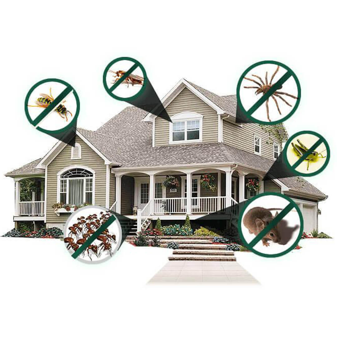 Pest prevention and property inspection